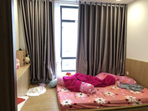 Cho thuê Central Premium Tạ Quang Bửu Tôi có căn hộ ở chung cư cao(3)